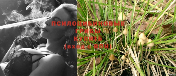 гашик Балабаново