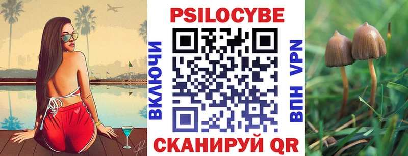 купить наркотики цена  Кузнецк  Псилоцибиновые грибы прущие грибы 