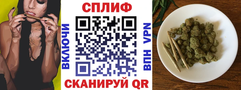 кракен вход  Кузнецк  Конопля планчик  наркотики 